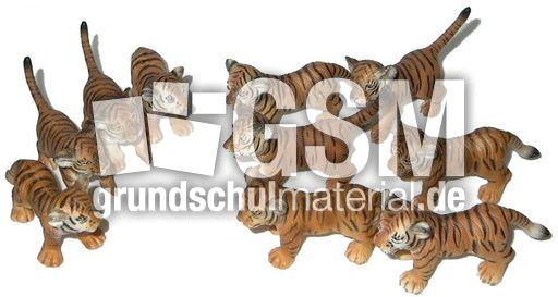 Tiger-4+6.jpg